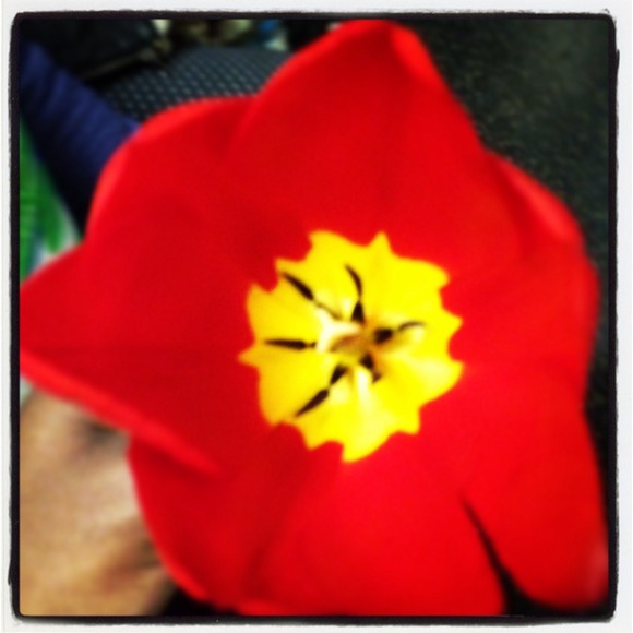 Profile Picture of Ayisha Jackson (@ayahjacks12) on Poshmark