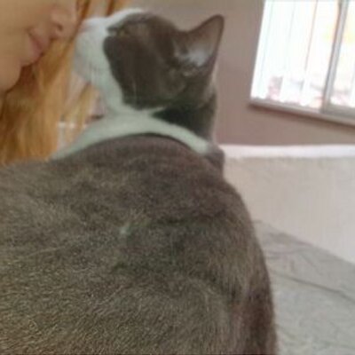 Profile Picture of Alejandra Claros (@clarosale31) on Twitter