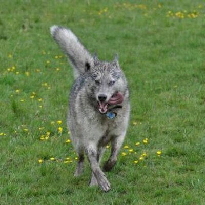 Profile Picture of Corey Knowles (@coreymusher) on Twitter