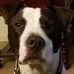Profile Picture of Cappy Shifflett (Captain) (@cappy.shifflett) on Facebook