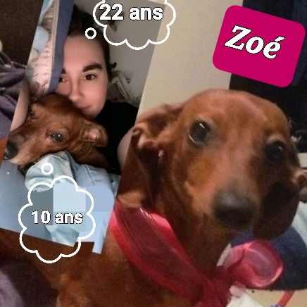 Profile Picture of Nancy Grenier (@nancygrenier0) on Tiktok