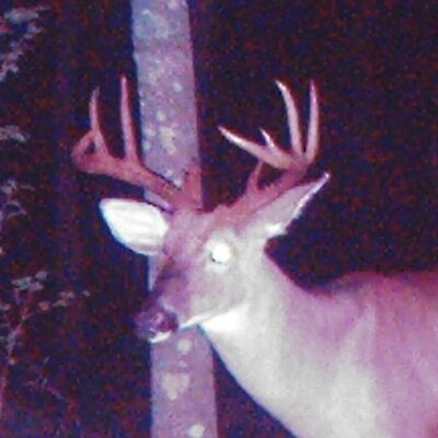 Profile Picture of Travis Lloyd (@travislloyd84) on Twitter