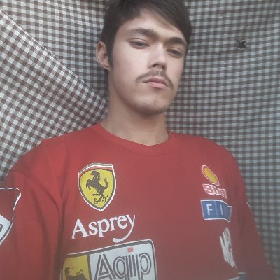 Profile Picture of Thomas Augusto Nizer Cordeiro (@NizerThomas) on Twitter