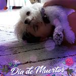 Profile Picture of Matthew DePalma Tirado (@matthewdepalma) on Instagram