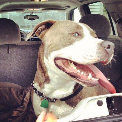 Profile Picture of Joe Dones (@donesjoe1856) on Twitter