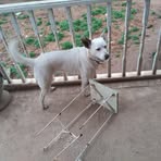 Profile Picture of Eunice Pierce (@Eunice-Pierce) on Facebook