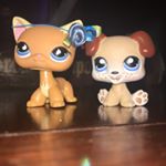 Profile Picture of Krystal (@krainer2608) on Instagram