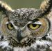 Profile Picture of Gregoriy Kabischer (@gregoriy.kabischer) on Facebook