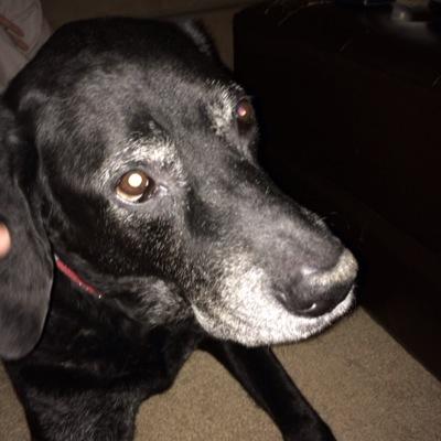 Profile Picture of Andrew Blinn (@DrewBlinn) on Twitter