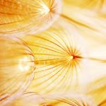 Profile Picture of Ann Cooley (@cooleyann1) on Instagram