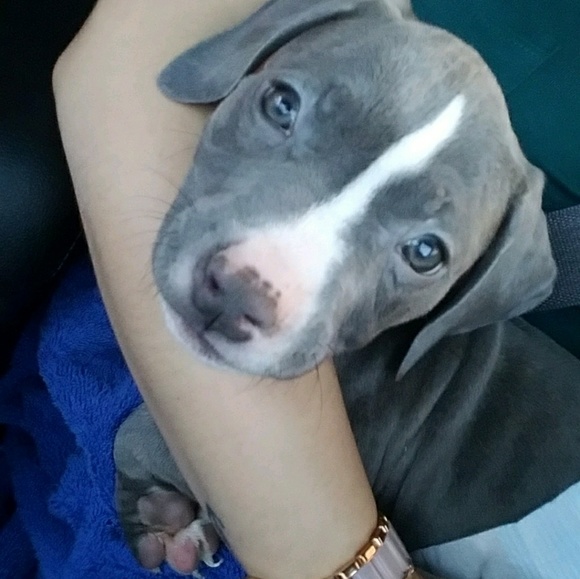 Profile Picture of Nataly Resendez (@naty32nr) on Poshmark