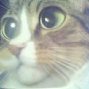 Profile Picture of Steve Rorie (@steve.rorie) on Myspace