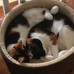 Profile Picture of Janet Rickershauser (@janetrickershauser) on Instagram