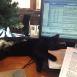 Profile Picture of Lori (@trudge11) on Instagram