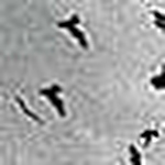 Profile Picture of Anjuli Rathod (@anjuli rathod) on Flickr