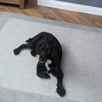 Profile Picture of Daniel Lynds (@Daniel-Lynds) on Facebook