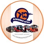 Profile Picture of Bus Pariwisata Jakarta CK (@po.ciptakarunia) on Instagram