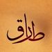 Profile Picture of Tarek Soliman (@tareksoliman5) on Pinterest