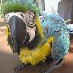 Profile Picture of Michael Løffler (@superloeff) on Facebook