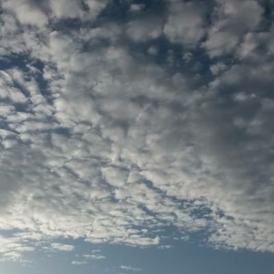 Profile Picture of Fouad Mourad (@Fouadmourad4) on Twitter