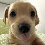 Profile Picture of Nan Phyu Sin Aye (@nan.phyu.sin.aye.2024) on Facebook