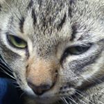 Profile Picture of michael kiesel (@kiesel.michael) on Instagram