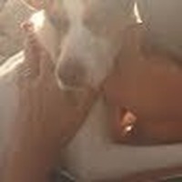 Profile Picture of Alessandra Olivieri (@alessandra-olivieri-6) on Quora