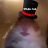 Profile Picture of Jason  Mooney (@@jasonmooney4) on Tiktok