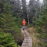 Profile Picture of Liam Quinlan (@liamq6813) on Instagram