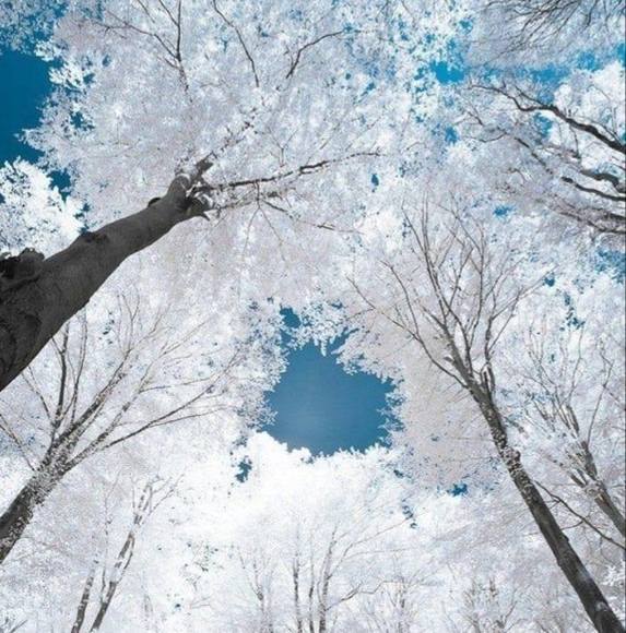 Profile Picture of Selina Zuehlsdorff (@butter_fly75) on Poshmark