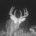 Profile Picture of Paul Halverson (@@theHal12) on Twitter