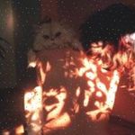 Profile Picture of Jonathan Hoeft (@merriemuth980) on Instagram