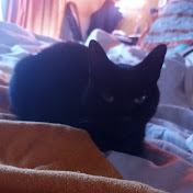 Profile Picture of Octavio Mateo Torrejon (@octaviomateotorrejon2136) on Youtube