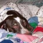 Profile Picture of Reload Paro (@reload.paro) on Facebook