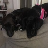 Profile Picture of mandy (@@mandysands43) on Tiktok