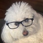 Profile Picture of Carl D Hickman (@da_paw_paw) on Instagram