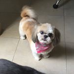 Profile Picture of Esther Borrego (@esther_bmno) on Instagram