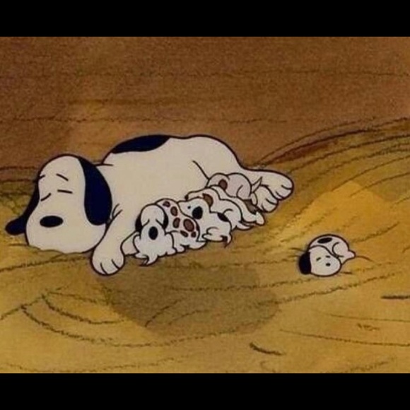 Profile Picture of Emily Zhang (@emilyzhang545) on Poshmark