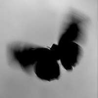 Profile Picture of Victor Guzmán  (@victor-guzmán-15) on Quora