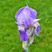 Profile Picture of Ashlee Kim (@ashleekim2005) on Youtube