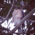 Profile Picture of Jose Moore (@donaldjrbuzz) on Instagram