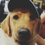 Profile Picture of Danny Hoyos (@danhoyos1120) on Instagram