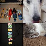 Profile Picture of Robert Poznekoff (@poznewhat) on Instagram