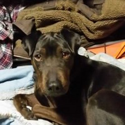 Profile Picture of Mitchell Fontenot (@br549mitch) on Twitter