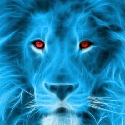 Profile Picture of Jeremy Magee (@Rayboymagee) on Twitter