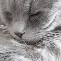 Profile Picture of Brian Kennedy (@brianlogankenne) on Pinterest