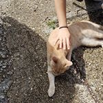 Profile Picture of Jonathan Kim (@jonathan_kim31) on Instagram