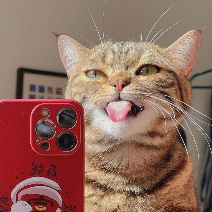 Profile Picture of Leonard.Newman (@tammyrczz5w) on Tiktok