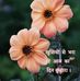 Profile Picture of Payal Sharma (@Payal-Sharma) on Facebook