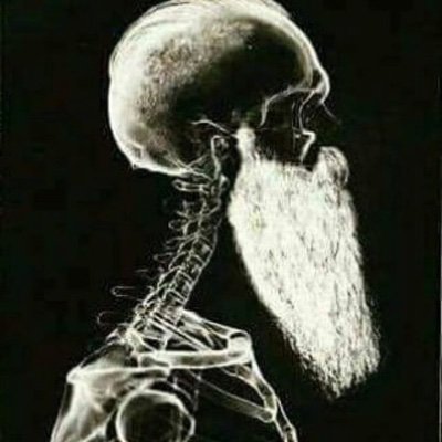 Profile Picture of Hallo Herbert (@SilasHartmann4) on Twitter